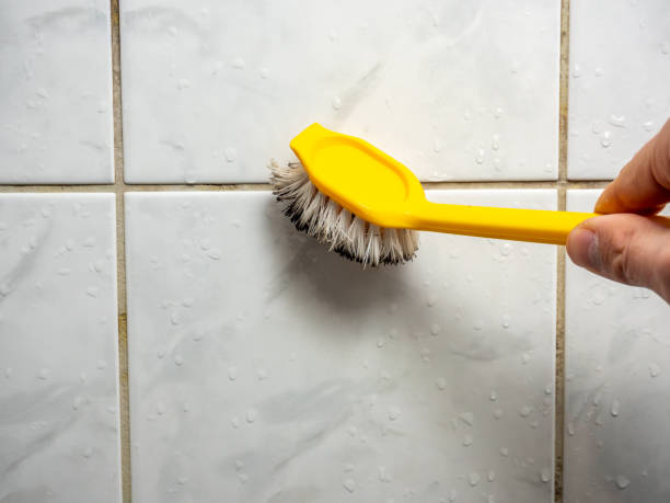Best Attic Mold Removal  in Tempe, AZ